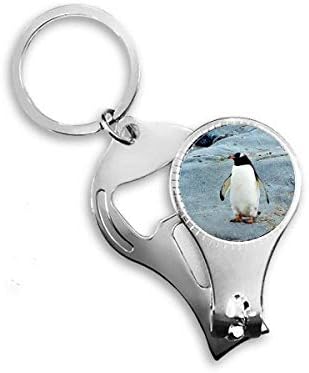Антарктически Камък Океански Пингвин Наука За Природата Ножица За Нокти Халка Ключодържател Отварачка За Бутилки