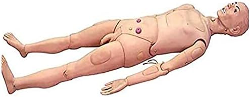 WFZY PVC Манекен За Грижа за Болни Многофункционален Симулатор на Грижите за Пациентите Анатомическая Човешки Модел за