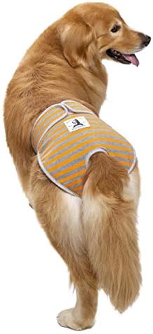 Пере Пелени за кучета Miaododo, за Многократна употреба Розово + Оранжев + Зелен Шарени панталони за кучета Doggie in Heat с регулируема талия за да велкро (опаковка от 3 броя) (X