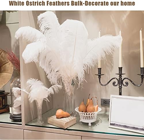 EVNNO 10 бр. комплект за направата на естествени бели страусиных пера, 25-27 см, големи страусиные пера на
