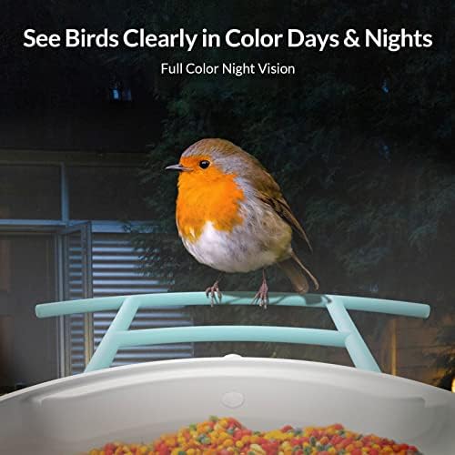 NETVUE Birdfy Lite - Умна помещение за хранене на птици със слънчев панел, камера за наблюдение на птици, откриване на движение и автоматично улавяне на птици, Идеален подар?