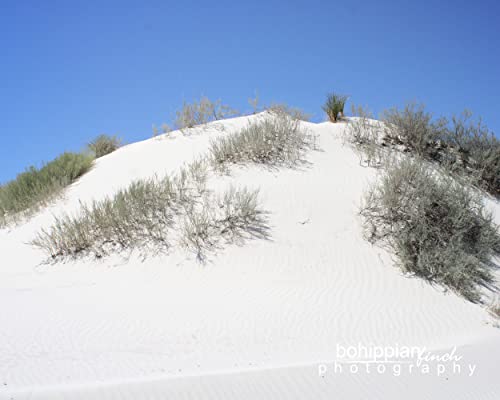 Трева Пясъчна дюна в цвят Бели Пясъци 16x20 Матиран Платно, Натянутый в рамка, Готов да бъде обесен Оригиналната снимка