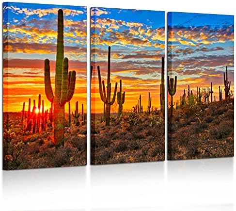 Творческа Изкуство - Голям Платно от 3 теми, Стенно изкуство, Красив Залез, Пейзаж на Национален парк Аризона,