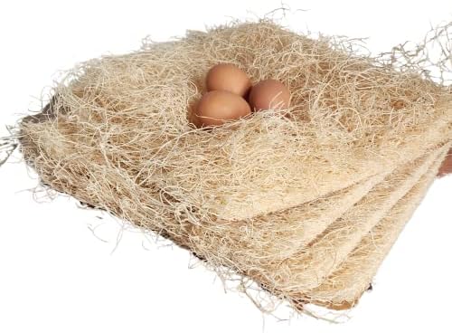 Пресни яйца За Дневна Пилешко месо-кокошки носачки 13 x 13, Подплата от естествена Трепетлика, 10 бр.