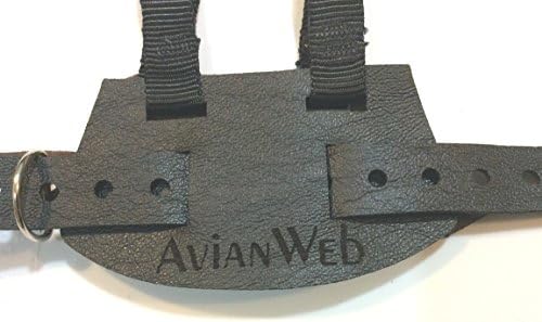 Шлейка Avianweb EZ African Grey с 8-футовым каишка (среден до Едър африкански Сив цвят (400 г / 14 грама и повече), черен /