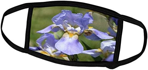Цветя 3dRose PS - Цъфтящи Ириси - Красиви Градински цветя - Маска за лице (fm_57861_2)