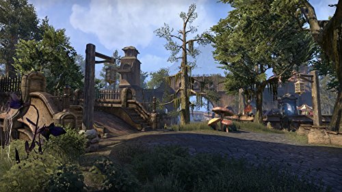 The Elder Scrolls Online: Морровинд - PC
