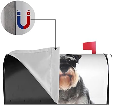 Магнитна Капачка пощенска кутия за шнауцера с добро поведение OGNOT, Капакът на пощенската кутия, Стандартен Размер 21x18