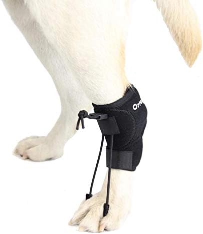 Ortocanis - Проприоцептивный коректор за кучета с увреждания на Седалищния нерв, миелопатией и увреждания на
