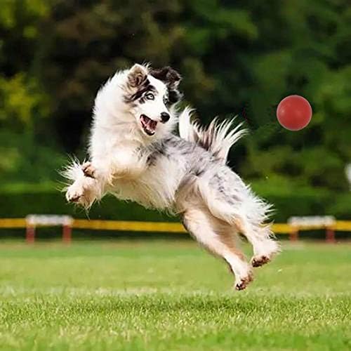 Здрав кучешки топката Sunglow за дъвчене и дресура, здрав близост до неразрушим играчка топка за кучета,