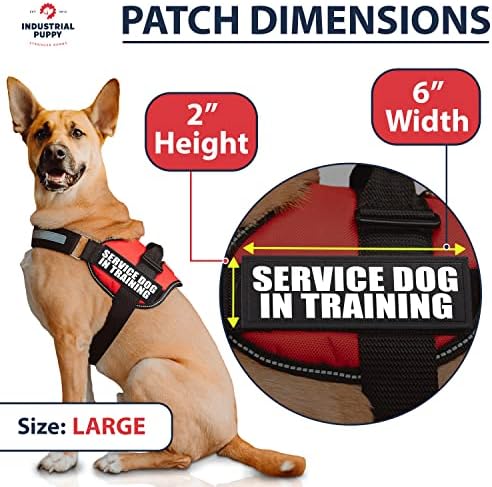 Нашивка за услуга куче на тренировка с една кука отзад и светоотражающей надпис за оценка на кучета в тренировъчни жилетки