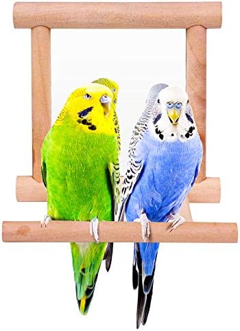 Огледало за Папагал Blessed family Bird за Клетки, Поставка за Жердочки за Папагал, с Дървена Играчка-Люлка Колибри,