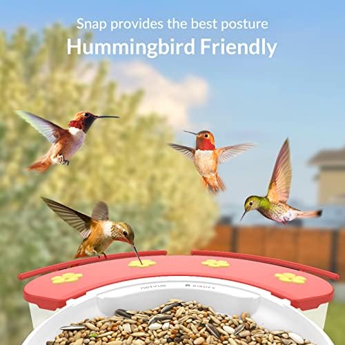 NETVUE Birdfy Hummee - Умна фидер колибри с камерата, автоматично правене на видео клипове на птици и наблюдение на птици в