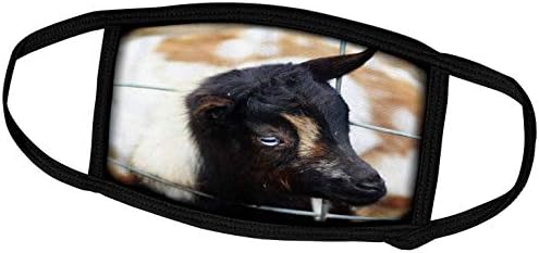 3dRose Страховито око на Козела - едър план на Коза, показваща го Очни воалите (fc_265345_3)