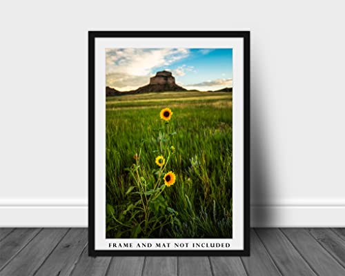 Снимка на Great plains, Принт (без рамка), Вертикално изображение на слънчогледи на фона на Скалите Лятна вечер в прерията