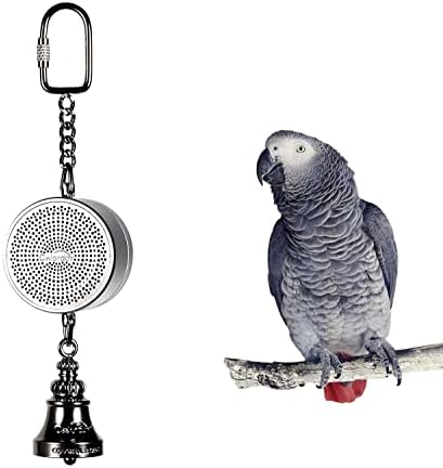 Говори треньор Colorday Bird и Интерактивна играчка-Камбанка (Обявен за патент), Сребрист