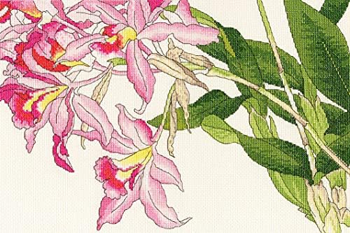 Комплект за Бродерия на кръстат бод с Конци Bothy - Цветя Орхидея