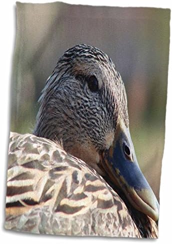 Птици 3dRose Florene - Голямата Гъска в Близък план - Кърпи (twl-54118-1)