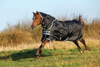 Одеяла Амиго Amigo Stock Horse Turnout Medium 200 г Черен /Сребрист 82