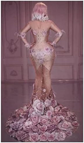 Латинско Прозрачно Дълга рокля с розови цветя, Сетчатое Еластична рокля с 3D Модел, Женски костюм за изяви на Певицата