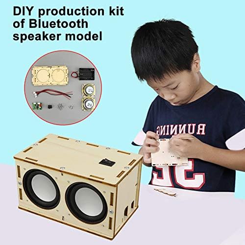 CALIDAKA САМ Bluetooth Speaker Box Kit Електронен Усилвател на звука, Създай свой Собствен Портативен Bluetooth високоговорител
