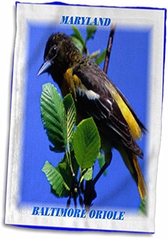 3 Птици щата Флоренция - Птица, щата Мериленд, Балтиморская Авлига - Кърпи (twl-50906-1)