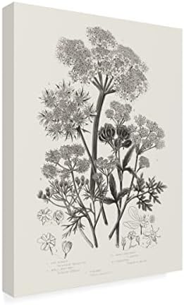 Търговска марка Изобразително изкуство Цъфтящи растения VI Неутрален Платно Арт портфолио от Wild Apple 14x19