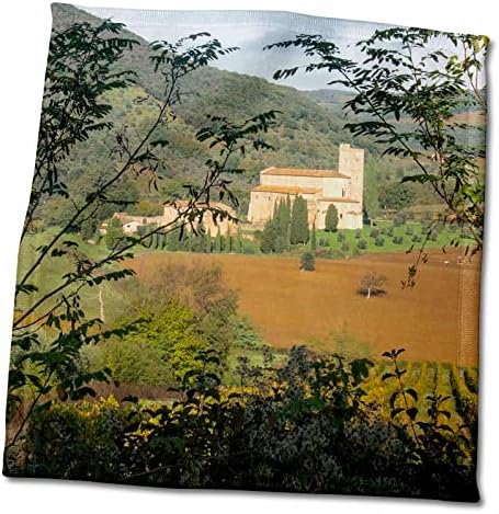 3дРоза Данита Делимон - Италия - Италия, Тоскана. Кърпи за лозя и маслинови дървета (twl-227565-3)