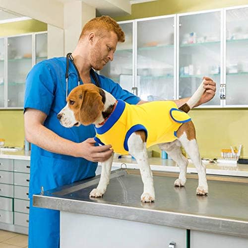 Костюм за възстановяване на кучетата След операцията, за Защита на рани в коремната кухина, Мека Медицинска Хирургична