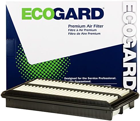 Въздушен филтър на двигателя ECOGARD XA10486 Премиум-клас е Подходящ за Honda Pilot 3.5 L и XC35519 Въздушен филтър на салона