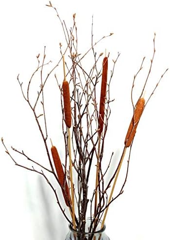 Централни Елементи от естествени Брезови Клонки с Растение Рогоза, Брезови Клонки, за да Работи от Тексас