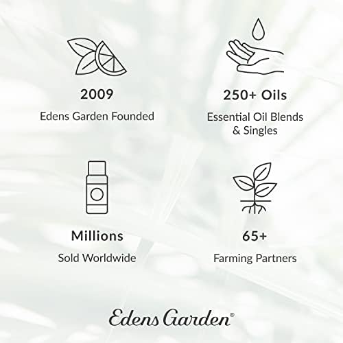 Edens Garden OK for Kids, 3 комплекта, най-Добрият стартов комплект за ароматерапия от чисти етерични масла Synergy
