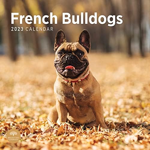 Стенен Календар с Френски Бульдогами на 2023 година от Bright Day, 12x12 Инча, Снимка на Привлекателен Очарователен Домашно