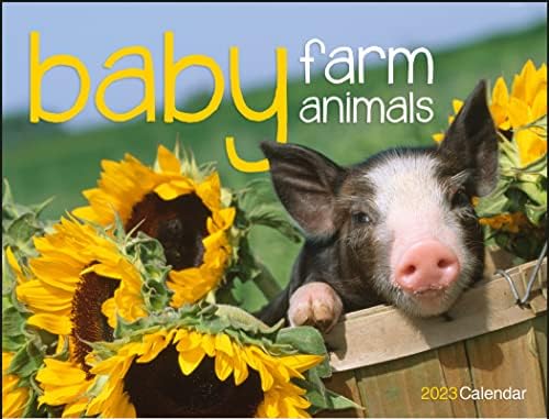 Сладък стенен календар Baby Farm Animals на 2023 година - 19 x 11 (открит) Планер и органайзер месечни срещи за 2023 година.