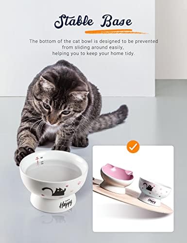 Керамични Купи за котки AISBUGUR, Повдигнати Купа за Котешки храна с наклон 15 °, Предпазва Котешки гръбначния стълб, Облекчава