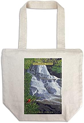 Национален парк Грейт Смоуки Маунтинс, Тенеси, Laurel Водопад (Холщовая чанта за еднократна употреба от памук)