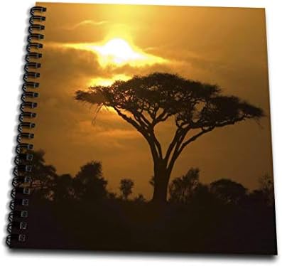 3dRose db_173294_2 Зонтичное дърво от Бодлива акация в Африканските равнини на залез слънце, Тропически Нощна сцена-Книга памет