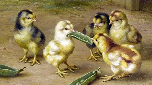 $ 80-$ 1500 Ръчно рисувани учители, Художествени академии - 35 Картини с животни - Пилета Едгар Hunt Animals - Известната