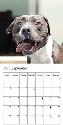 Стенен Календар с Собачьими Селфи в нашия свят на 2023 година - Семеен планер и Органайзер за всеки ден с Изображение на Календара