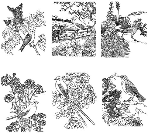 За награда-книжка за оцветяване за възрастни (24 страници 6 x8) са Красиви птици и цветя в ретро стил FLONZ