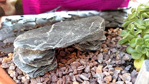 Натурален Шистов камък от 1 до 3 см за Миниатюрен или Приказна градина, Аквариум, Модели на железници и Wargaming (2)