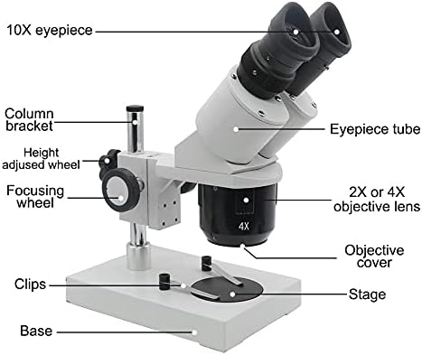 GGEBF 10X-20X-30X-40X Бинокъла на стереомикроскоп С подсветка Промишлен микроскоп с Окуляром за ремонт часа,