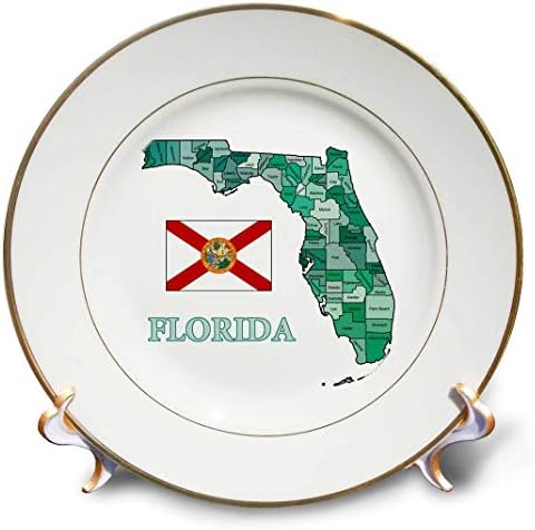 3dRose cp_180531_1 Цветна карта и флаг на Флорида с всички обозначени округами - Порцеланова чиния, 8 инча