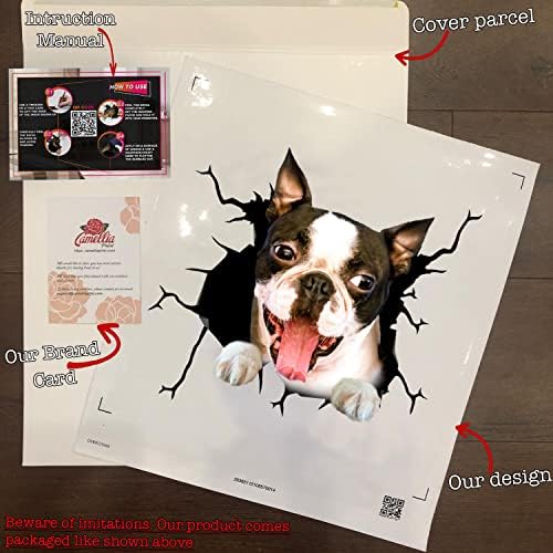 Vinyl Стикер с Принтом Камелия Бостън Териер, Етикети за Кучета Бостън Териер, Мем, Стикер на Камион с Охладител