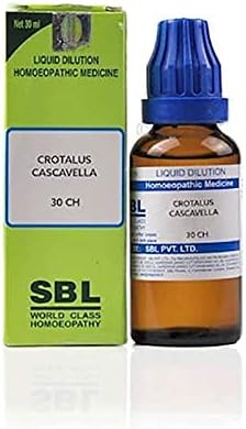 SBL Crotalus Cascavella Развъждане на 30 чаена лъжичка.