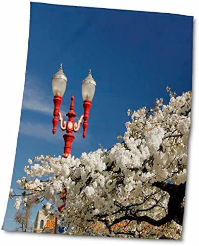 3дРоуз, щата Орегон, Портланд. Цъфтящи дървета череша и електрическите стълбове в Китайския квартал. - Кърпи (twl-279307-3)