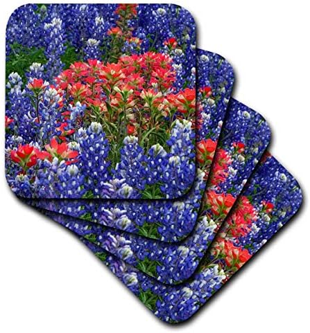 3рОсси Диви цветя в Техасских хълмове. Сини барети и поставка за индийски ръце (CST_332112_3)