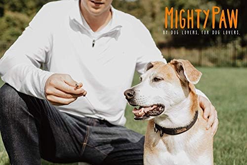 Свирка за куче-могъщата лапа, безшумен свирка за кучета с прибиращ прикрепен към колана и шейным шнурком, средство за