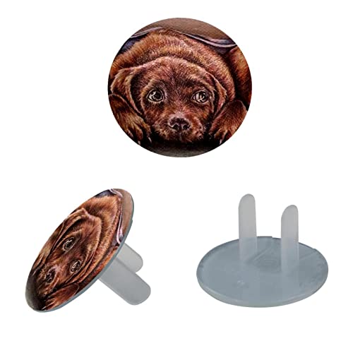 Прозрачен капак за контакти (24 опаковки) Със сладък Куче, Диелектрични Пластмасови Капачки за електрически