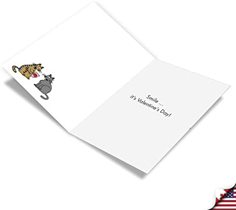 NobleWorks - Комплект от 3 Хумористични картички за Свети Валентин с Конвертами, Забавни Анимационни котка за двойки мъже и Жени (1 Дизайн, по 3 за всяка) - Human Poem C9232VDG-C3x1